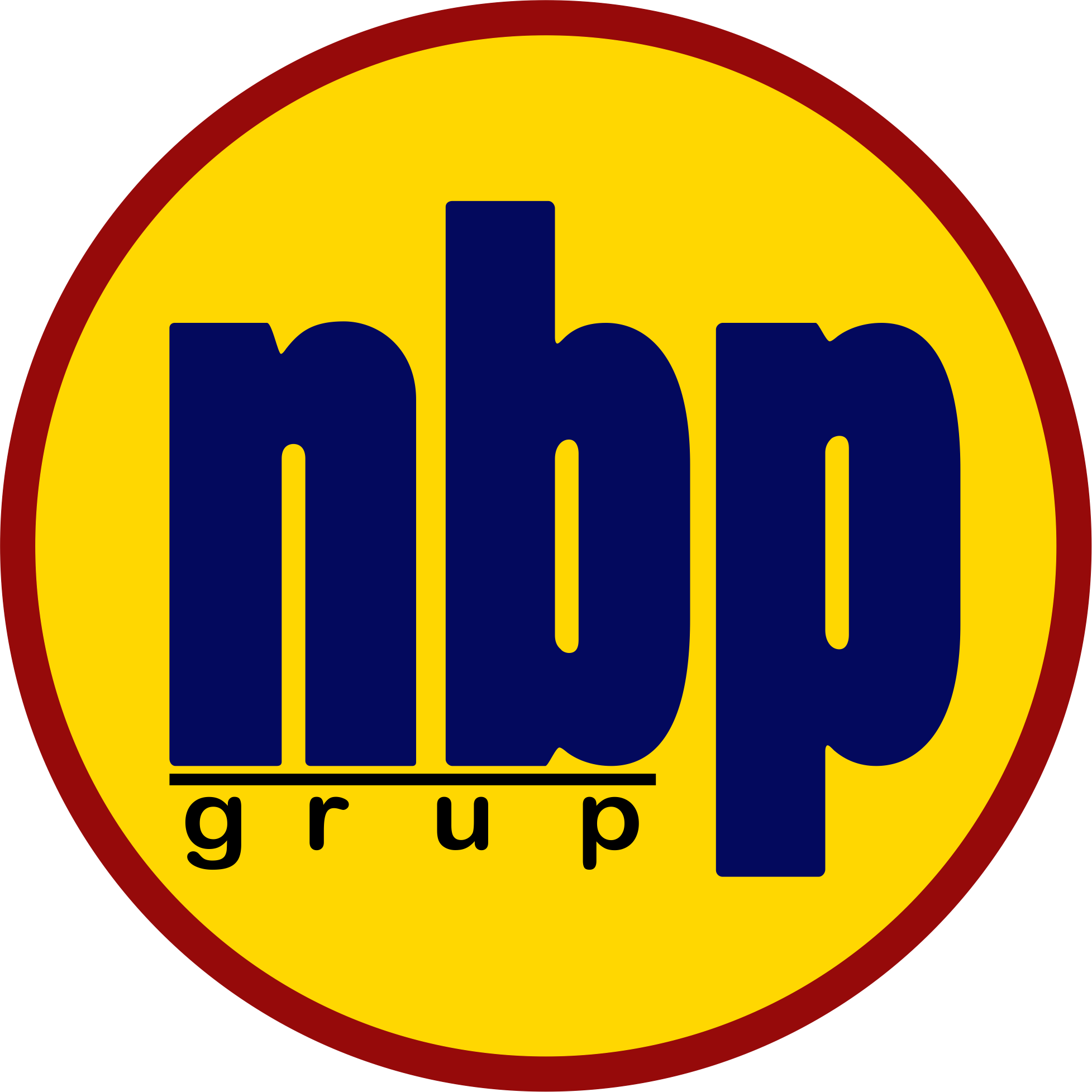 Logo BPR NBP 25